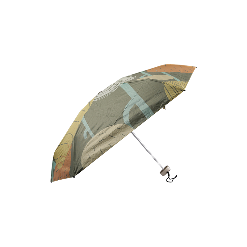 48CMx6K 50% off ultra-light hand open flat umbrella TXW-053
