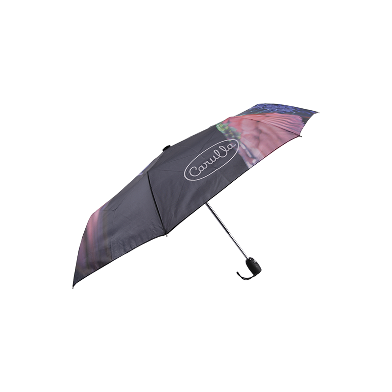 54CMx8K aluminum automatic open windproof three-fold umbrella pinted pattern TXZ-033